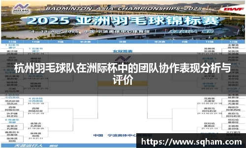 杭州羽毛球队在洲际杯中的团队协作表现分析与评价